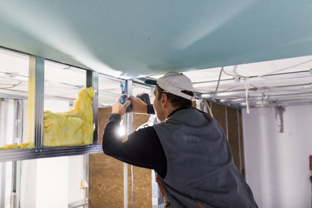 Best Cellulose Insulation  in USA